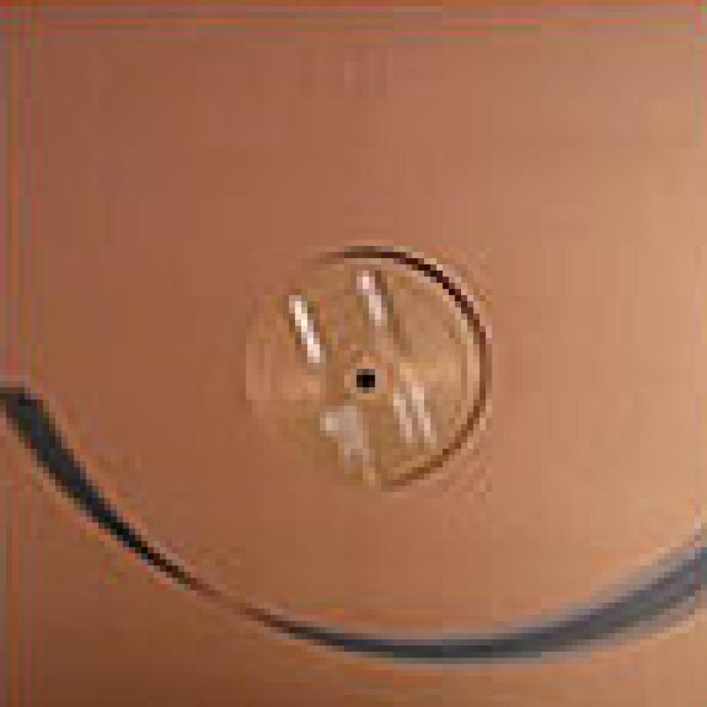 Back To Basics  - nur shans 