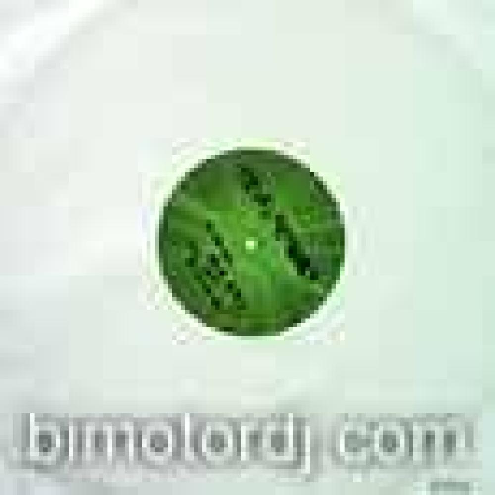 hereldeduke ft kool keith - widescreen