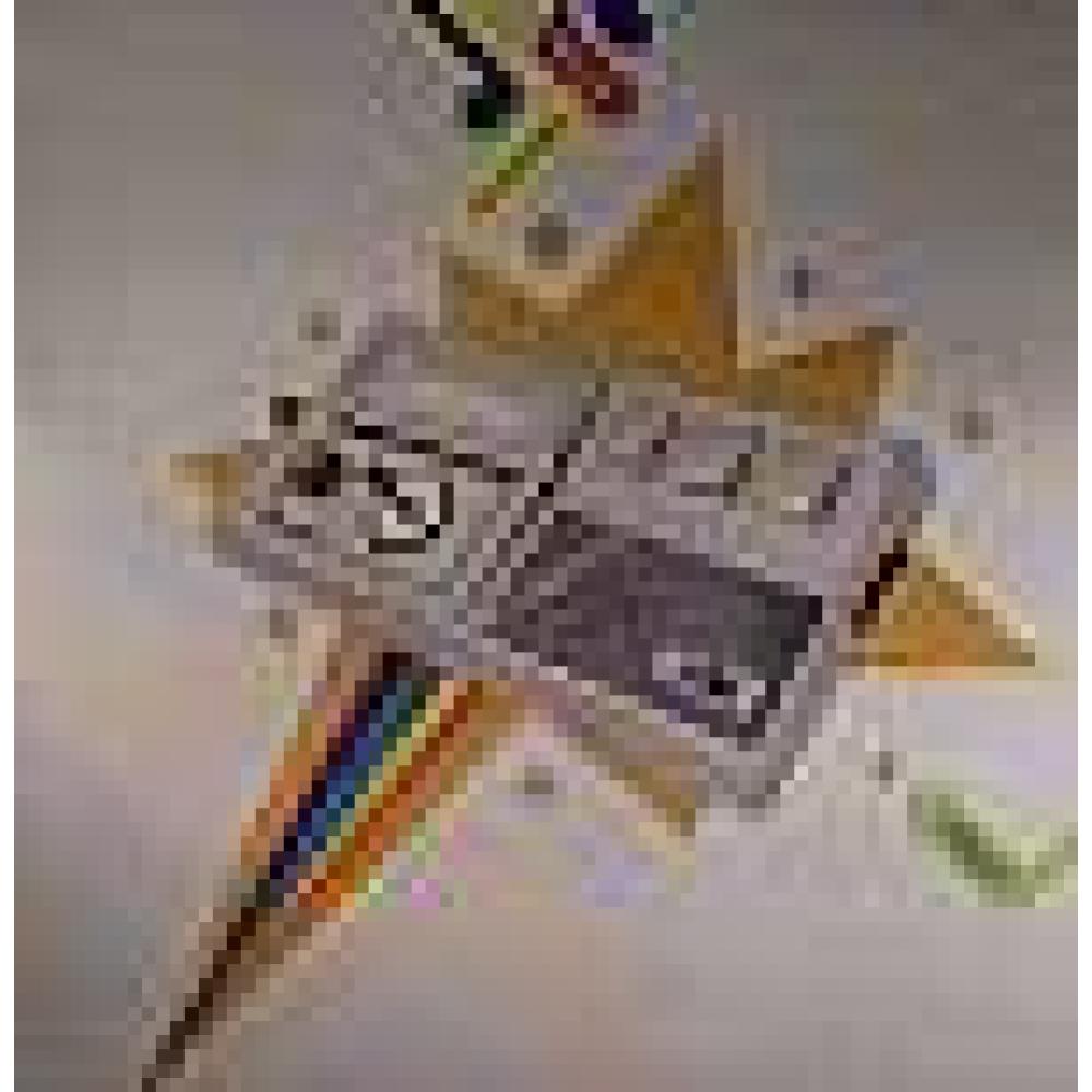 billy dalessandro - starcity