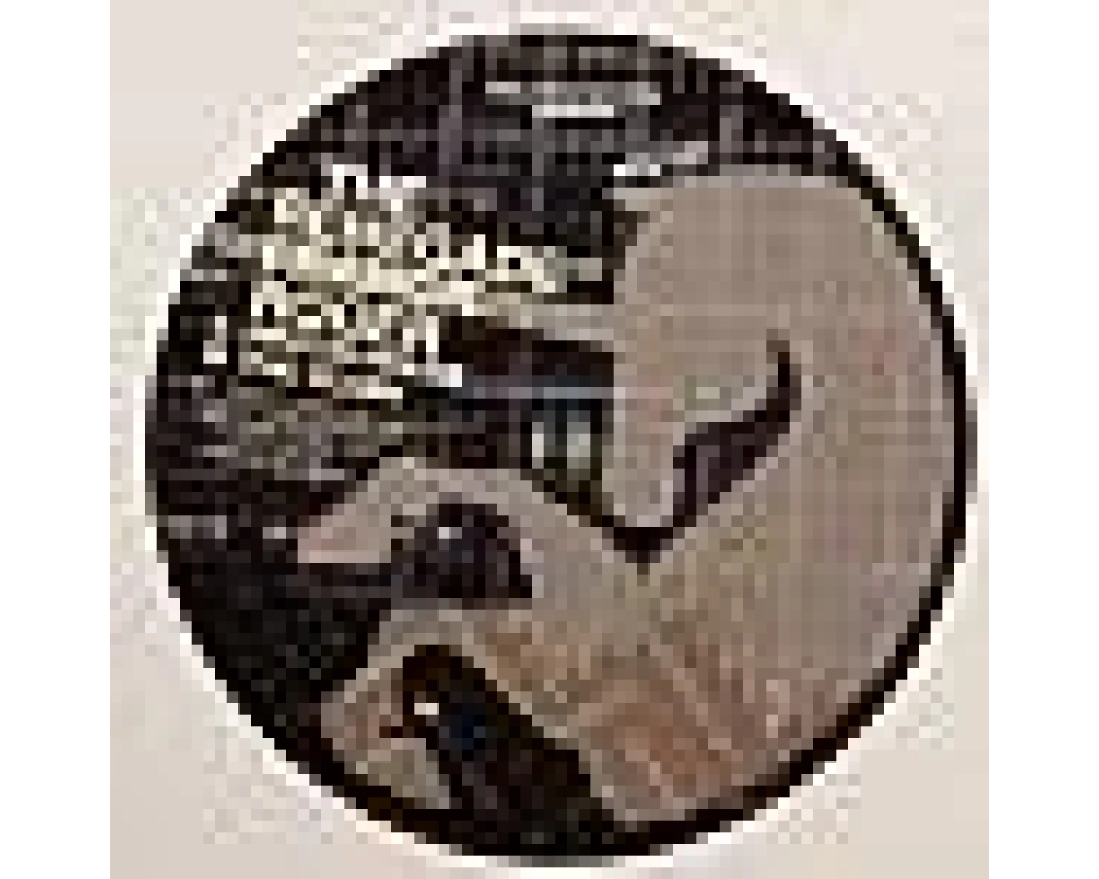 Franck Roger - The Renegade ep