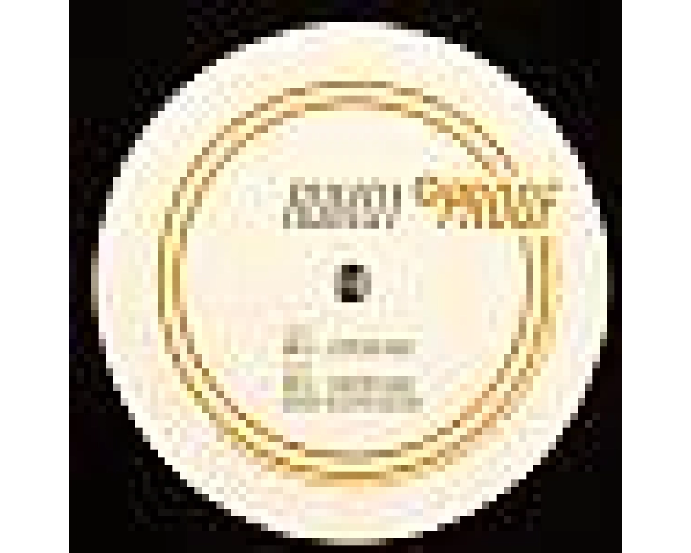 Mr. G - custom made (Josh Wink rmx)
