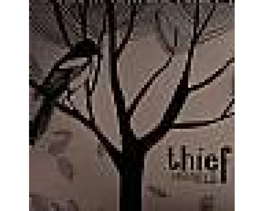 thief - sunchild 2xLp