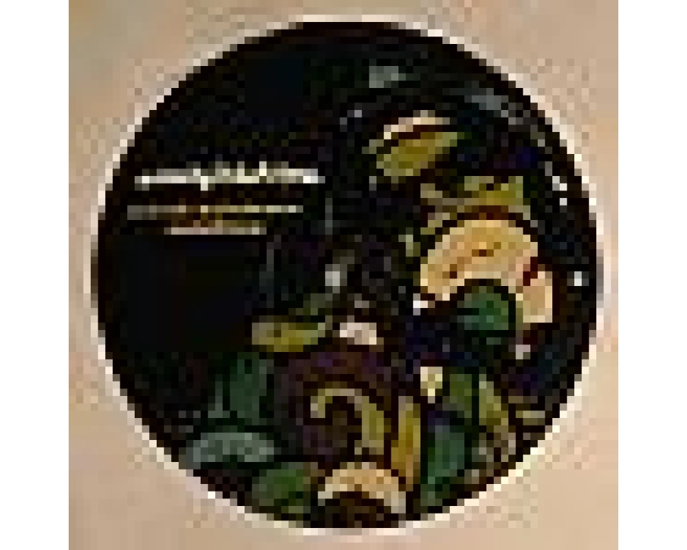 Soulphiction - Cargo (Losoul - Kalabrese rmx)