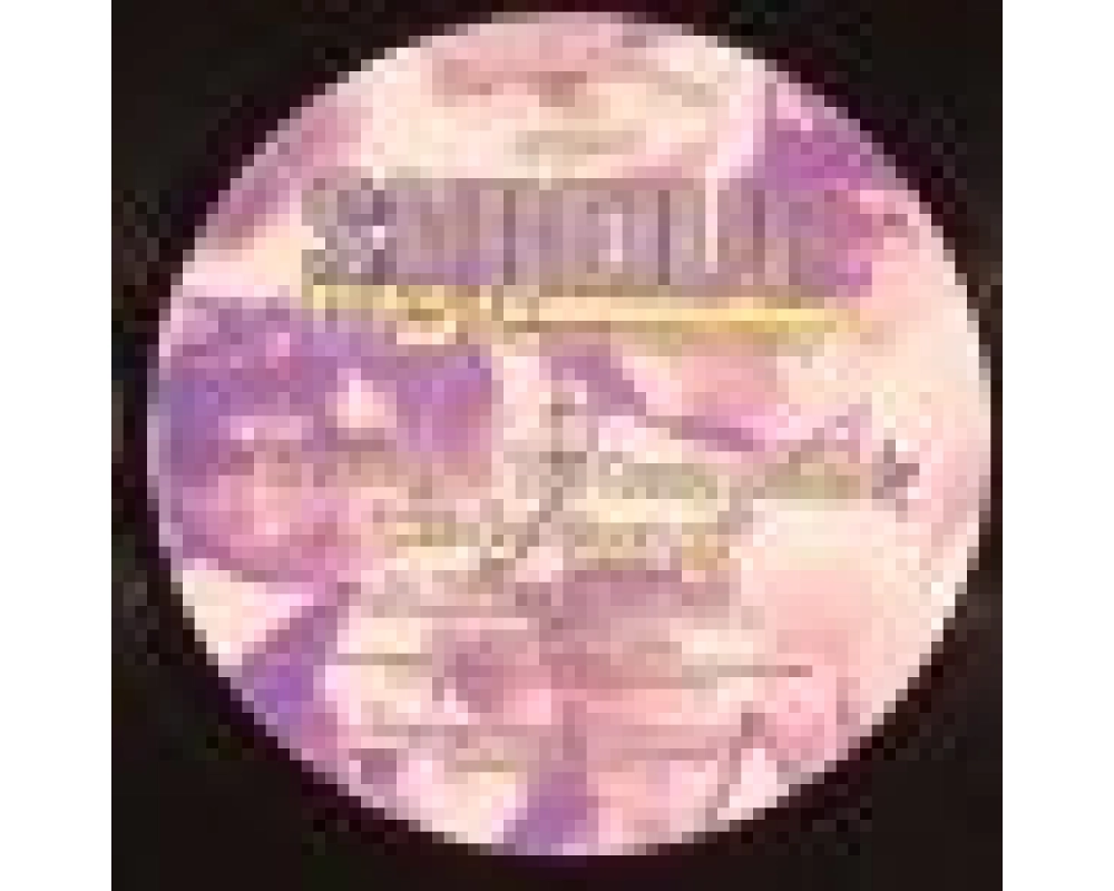 Shrewd vs Candy Dealers - who s disco