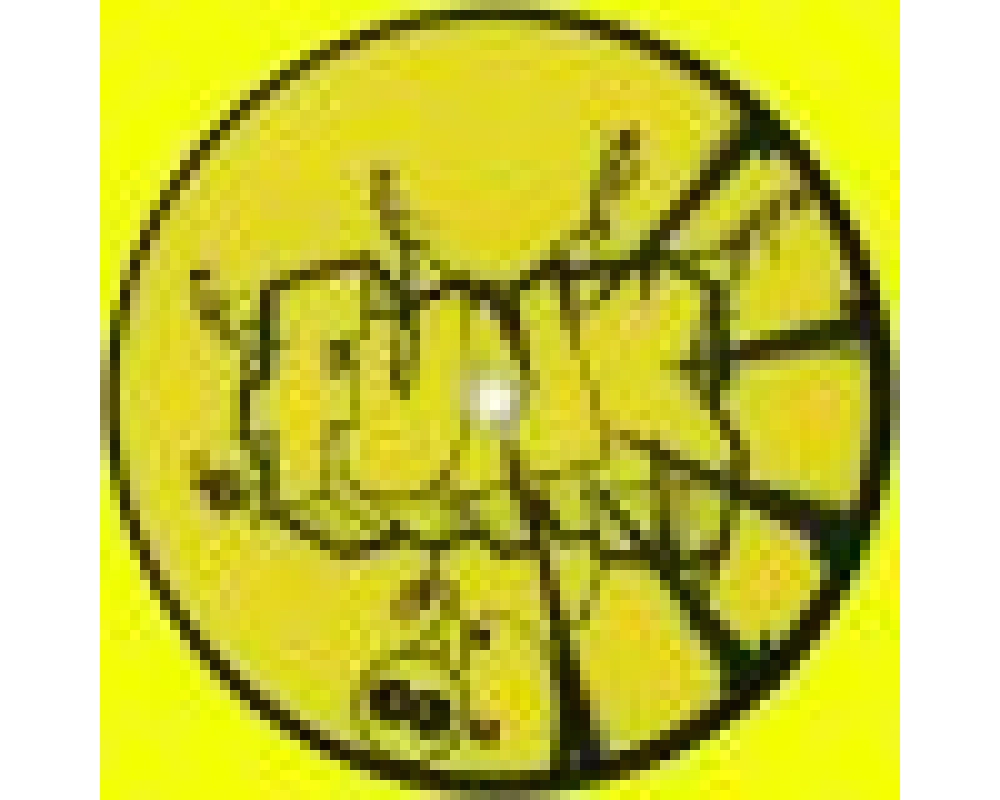 Monkey B - Forward Funk