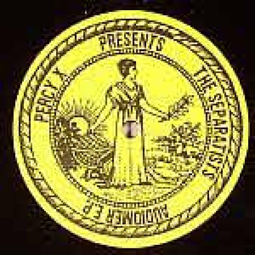 the separatists - audiomer