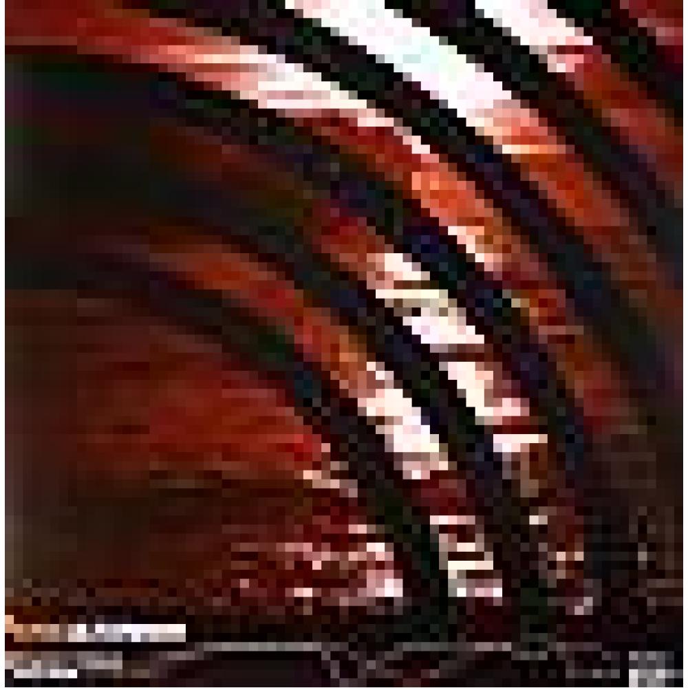 Expander & Thinkfreak - Ilar & Hedvall - Trackum - Rush Hour Rumble