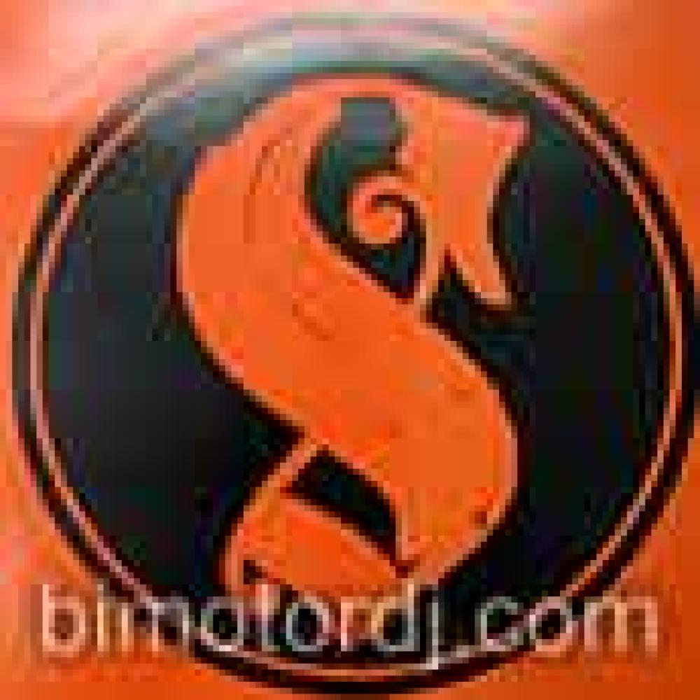 Cogito - America - Long Island Groove