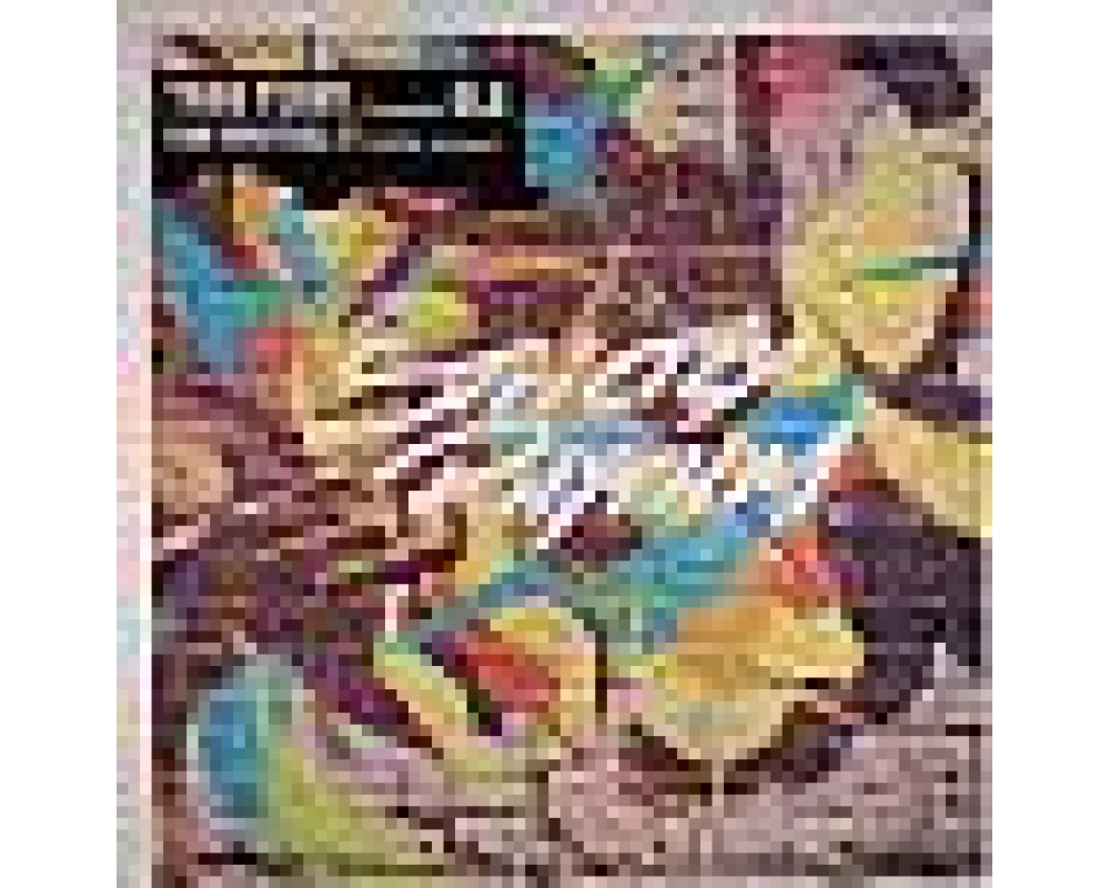 Todd Terry presents CLS - Can You Feel It