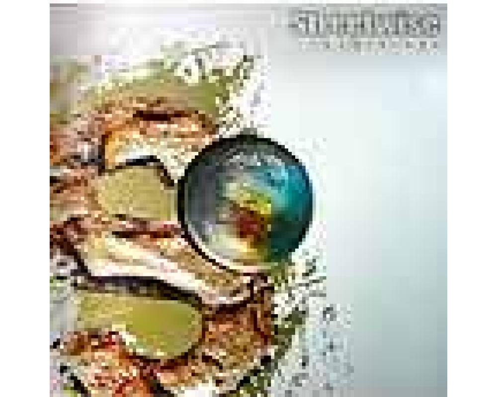 Zed & Mr B - Its About Time - Think!