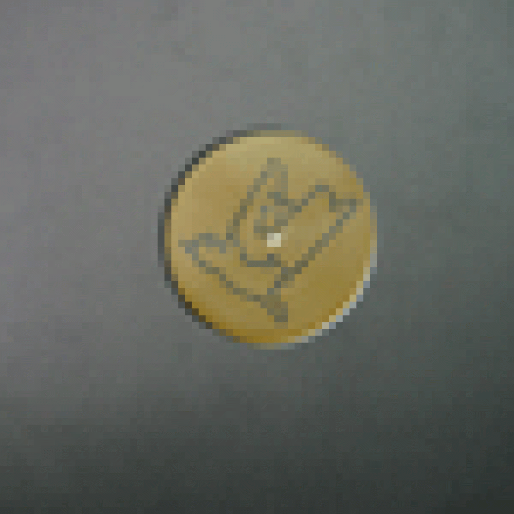 Swayzak - Din - Vascular Shunt