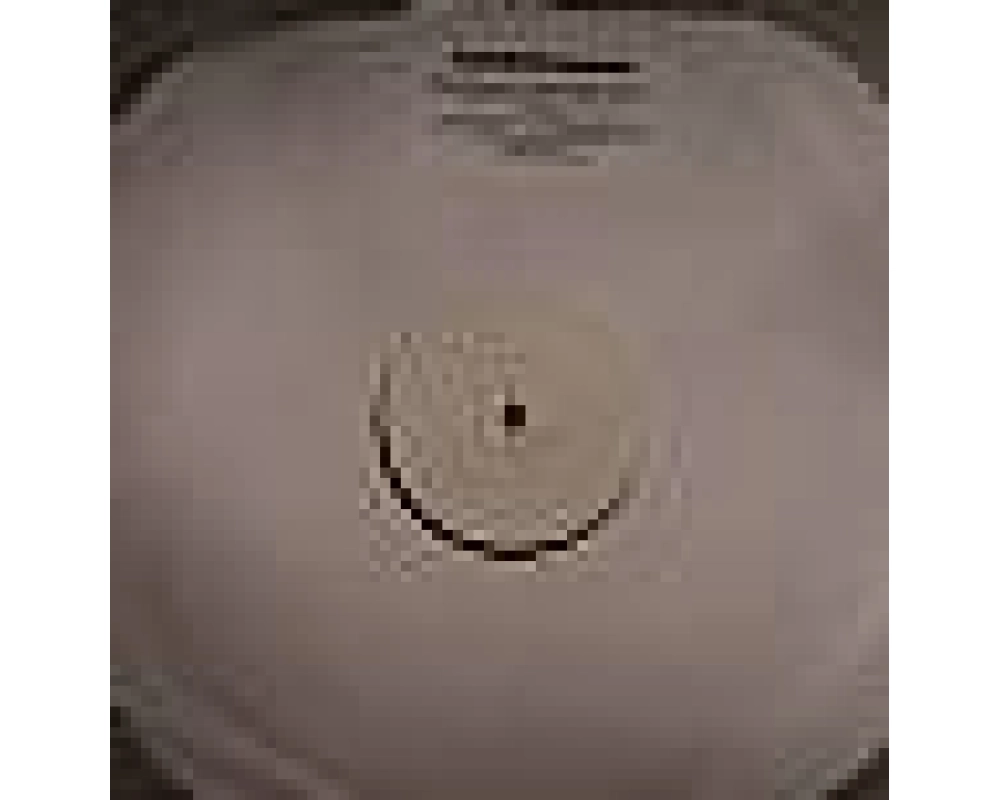 Ralph Rosario - Brinca 2007 (Part 1)