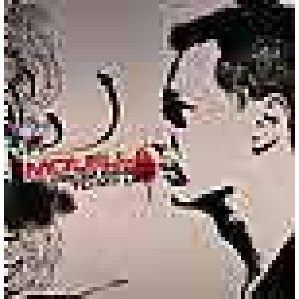 morella - from space to my life