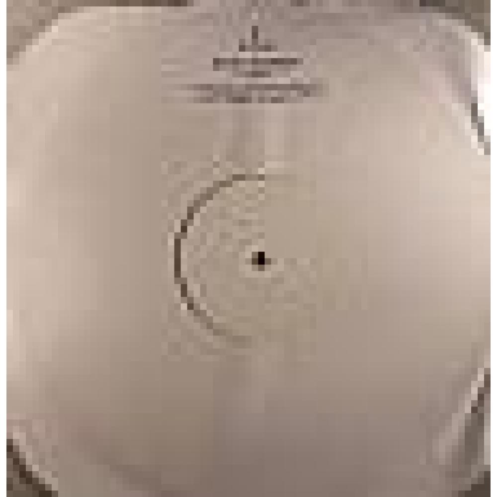 Be Fly - This Dream (TKC Tek Mix)