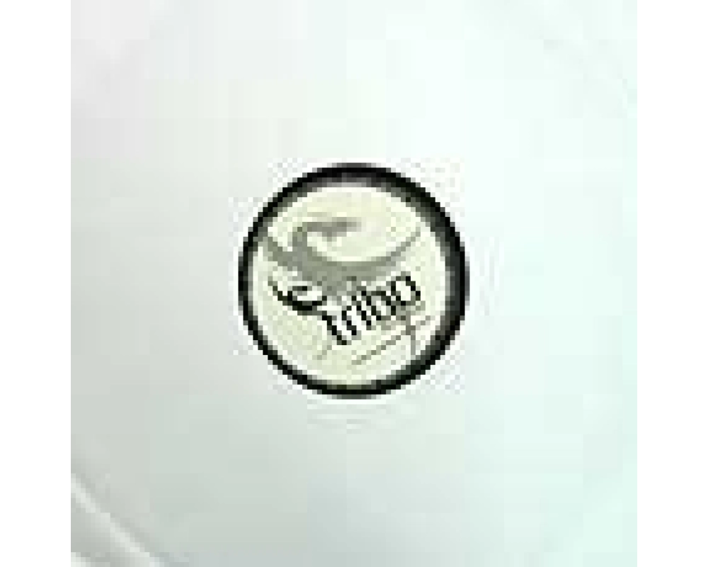 oskar dj & asthro - deep beside us (protection)