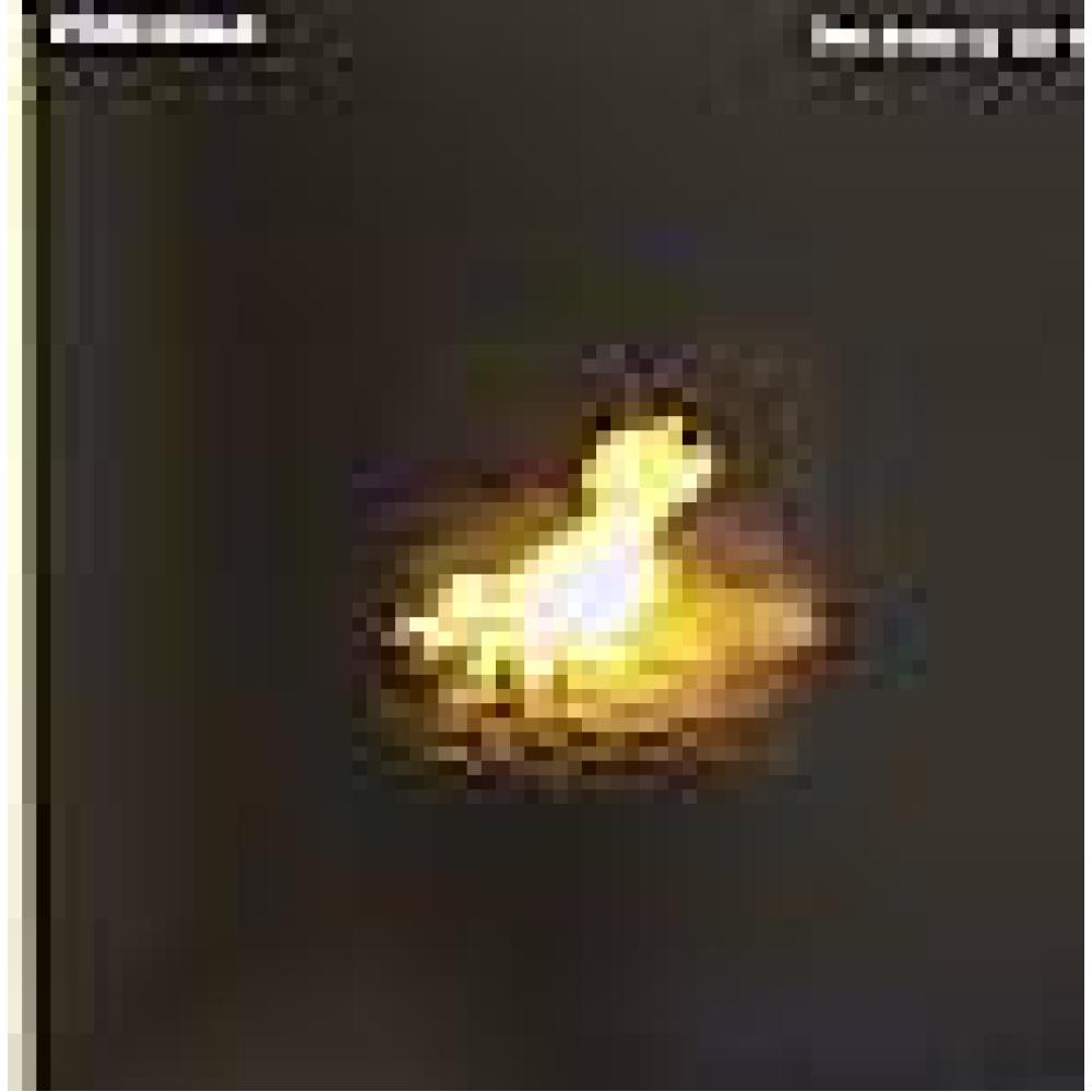 Poni Hoax - The Bride Is On Fire (Chloe Rmx)