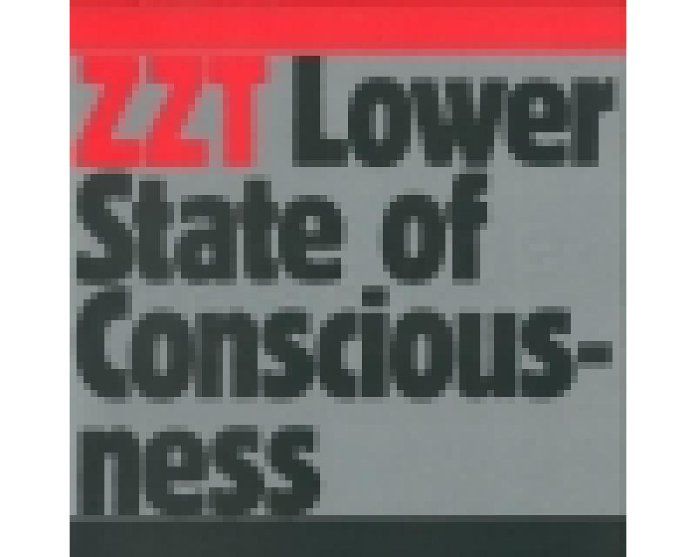 zzt aka zombie nation - tiga - lower state of consciousness