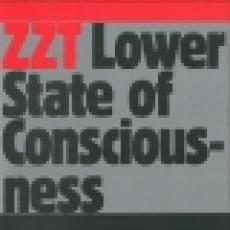 zzt aka zombie nation - tiga - lower state of consciousness