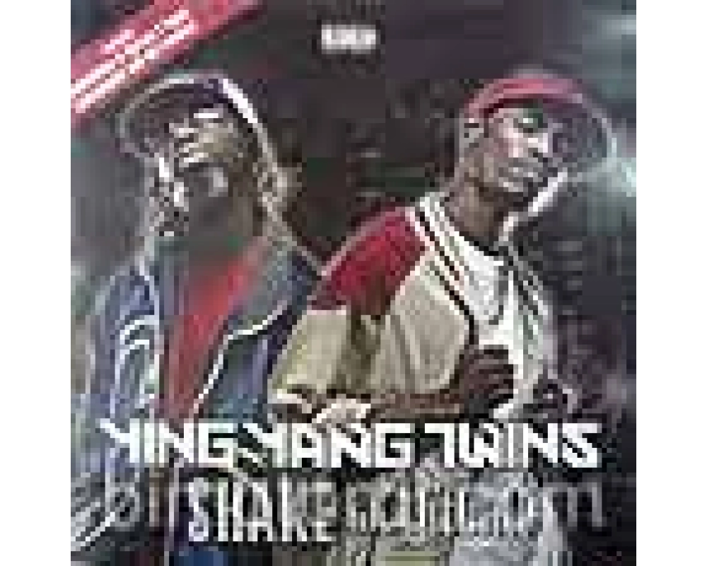 ying yang twins ft. pitbull - shake (x-press 2 mixes)