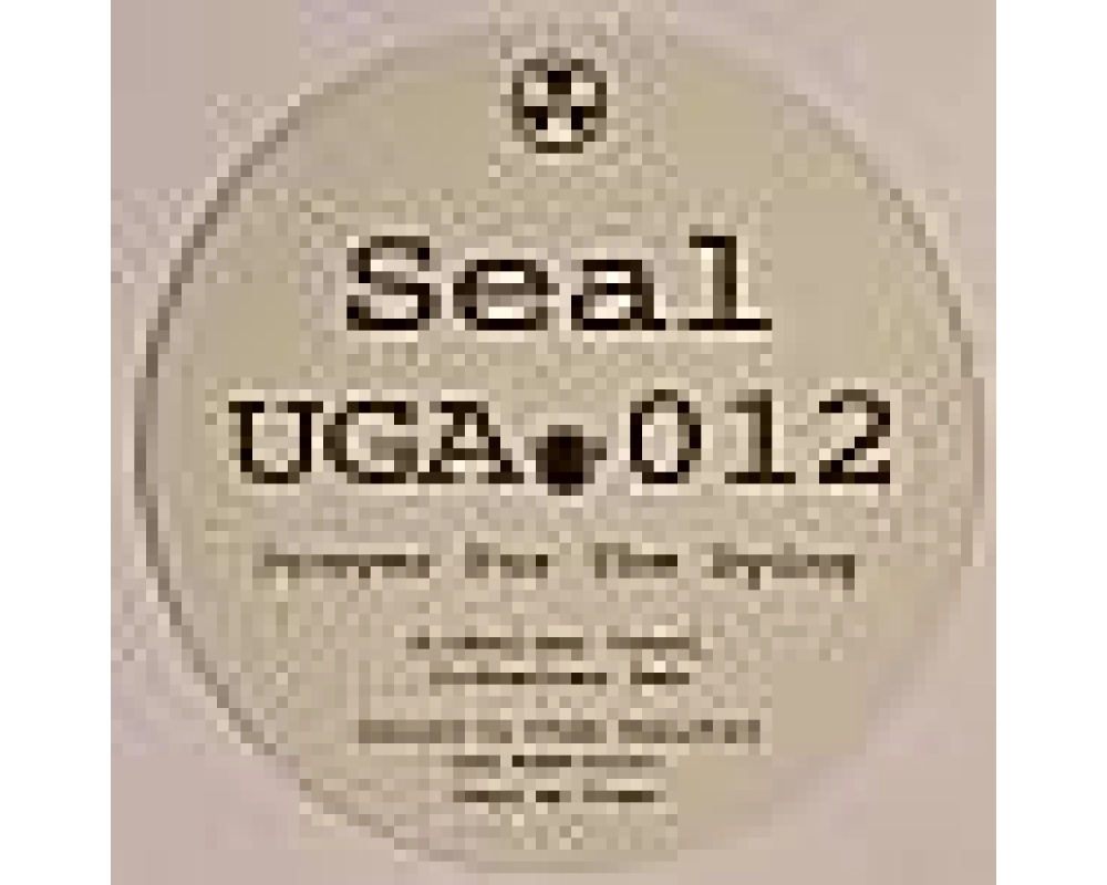 Seal - Prayer For The Dying (Shelter Vocal)
