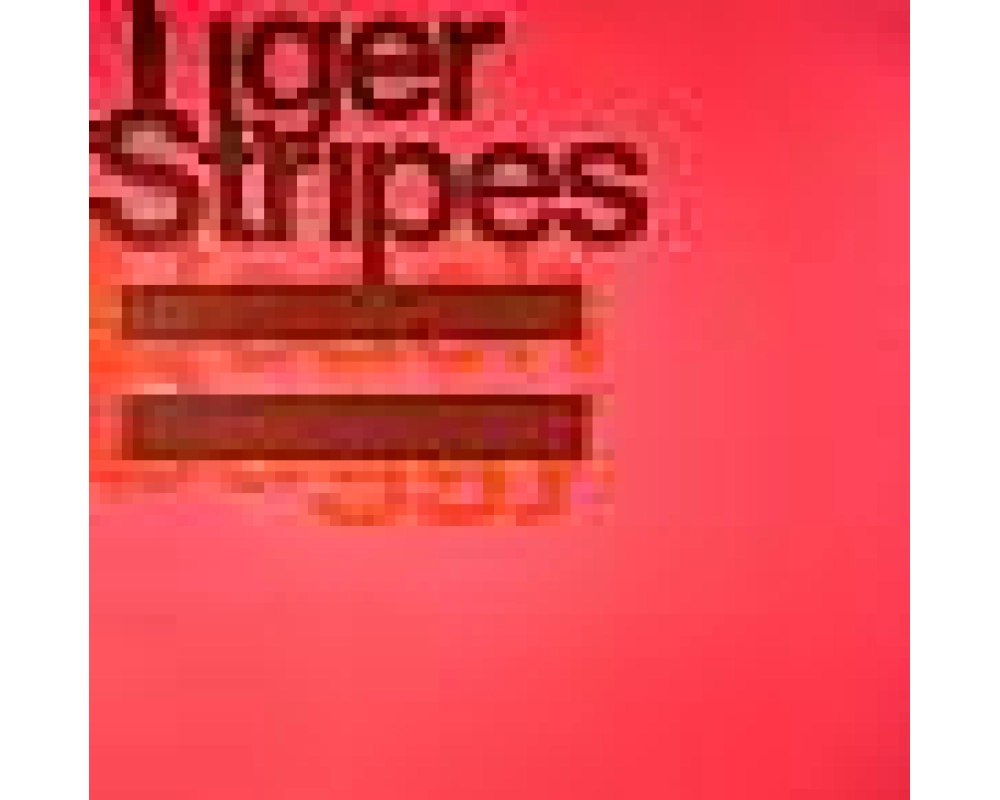 Tiger Stripes - Beach Buggy (Motorcitysoul rmxs)