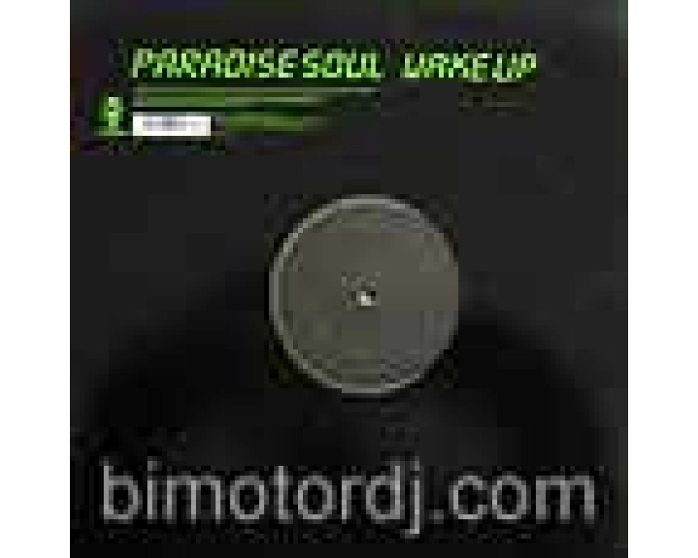 paradise soul - wake up