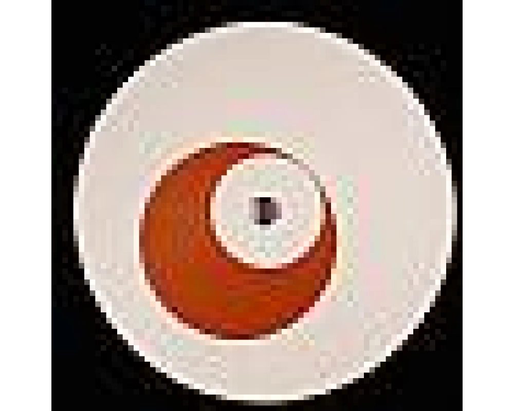 dave spon - won t do it again