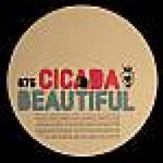 Cicada - Beautiful