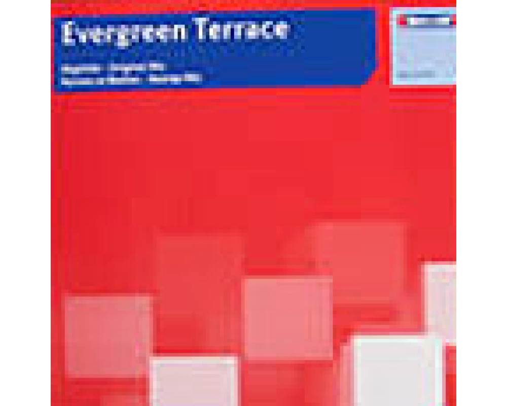 evergreen terrace - nightlife
