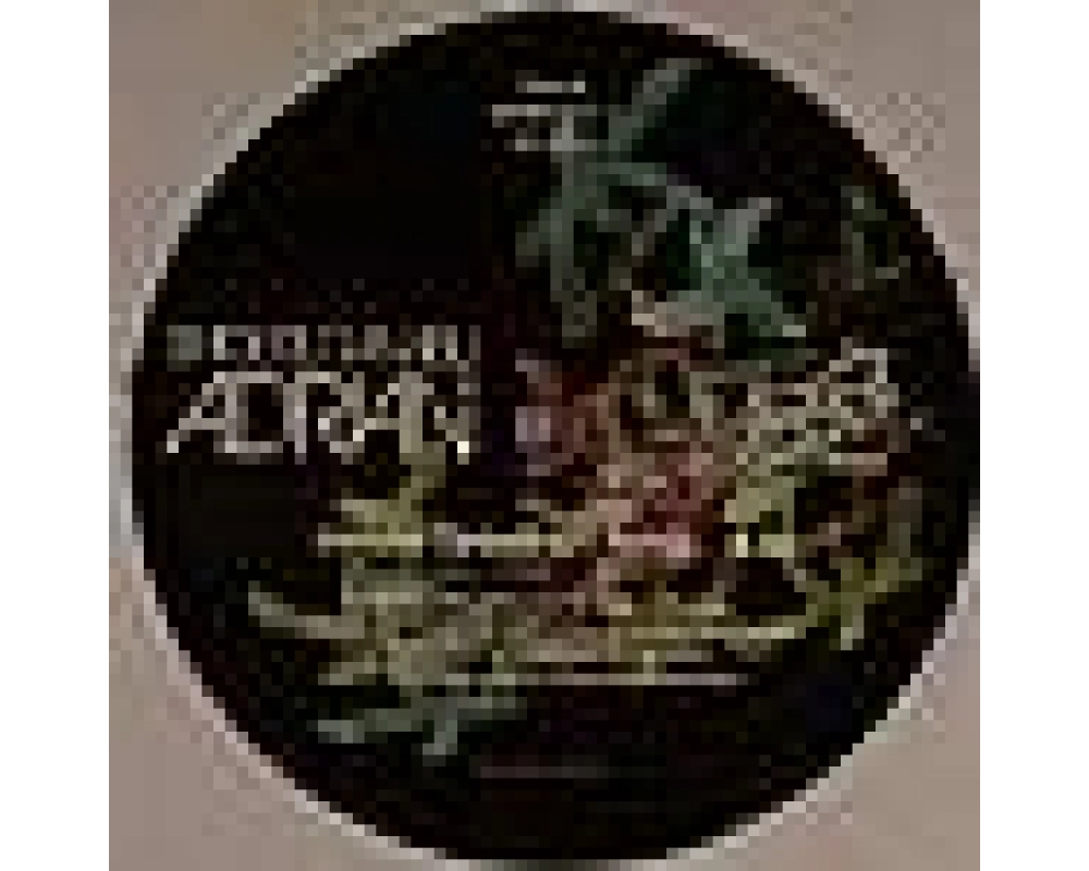 Shigeru Tanabu - Adrian