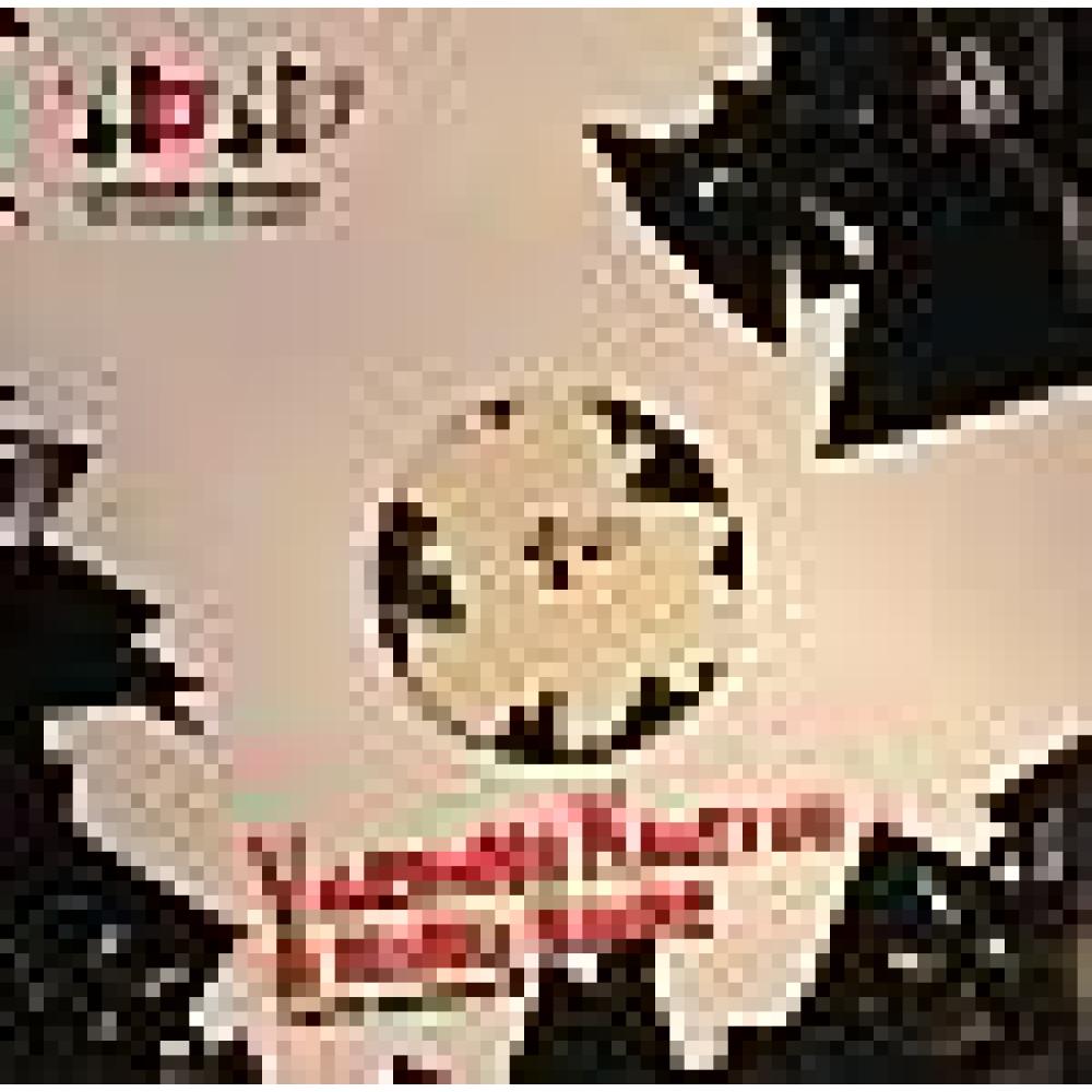 Valentino Kanzyani Marko Nastic - Twisted Movement