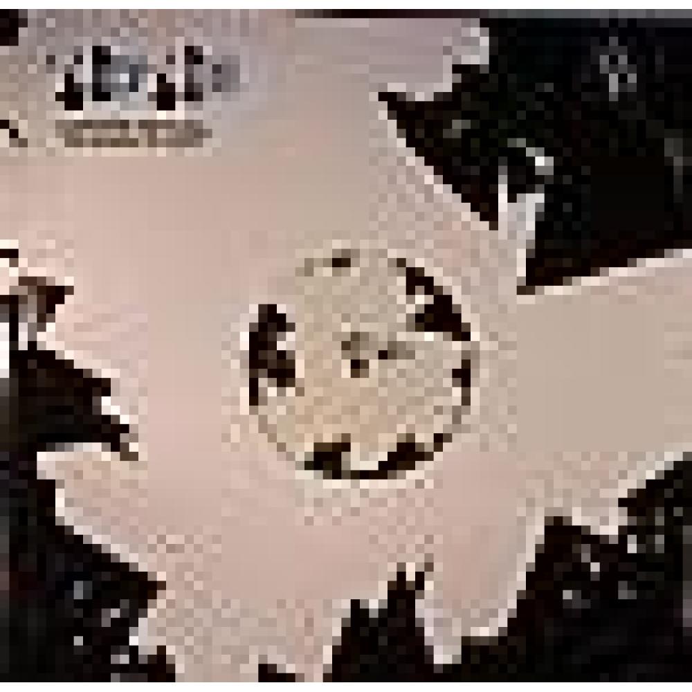 Beto Cohen - Hook (Martinez Rmx)