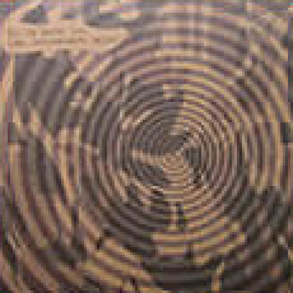 the ya basta crew - ya basta ! 