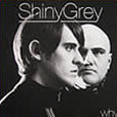 shiny grey - why (wally lopez remix)