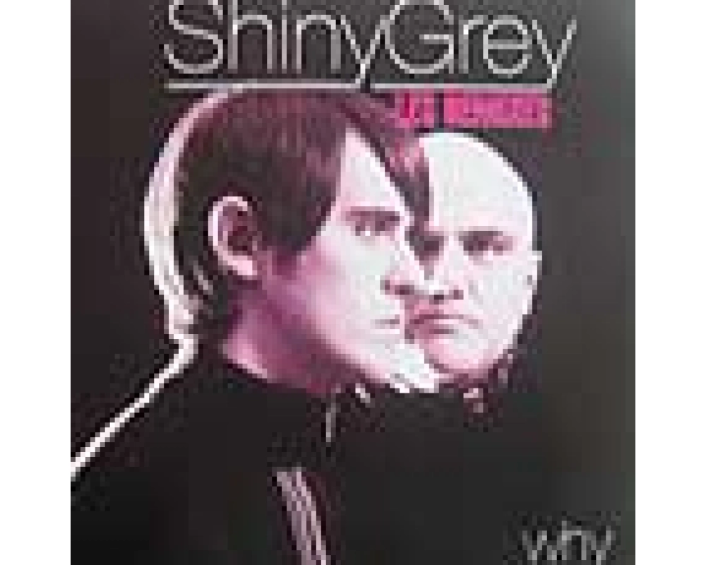 shiny grey - why (les remixes)