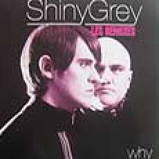 shiny grey - why (les remixes)