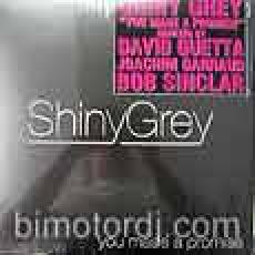 Shiny Grey - You made a promise (david guetta + bob sinclar)