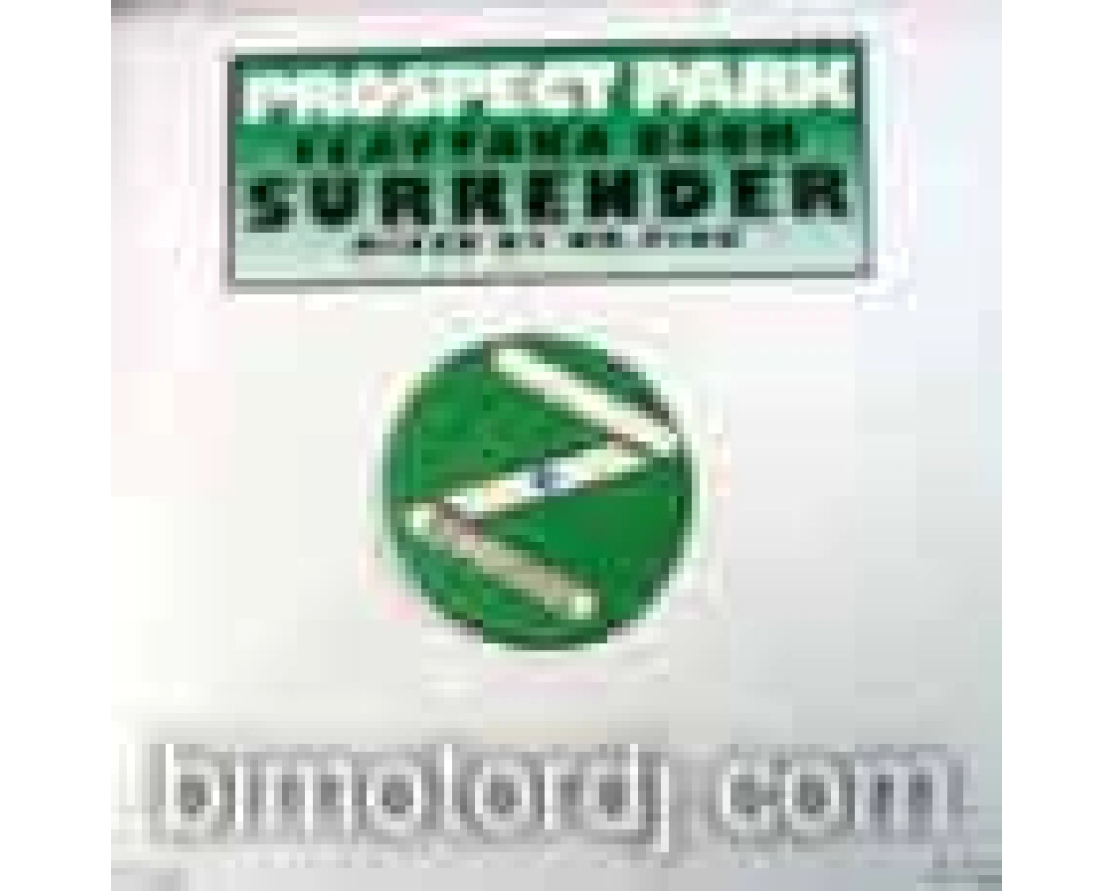 prosspect park ft taka boom - surrender