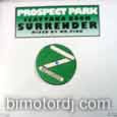 prosspect park ft taka boom - surrender