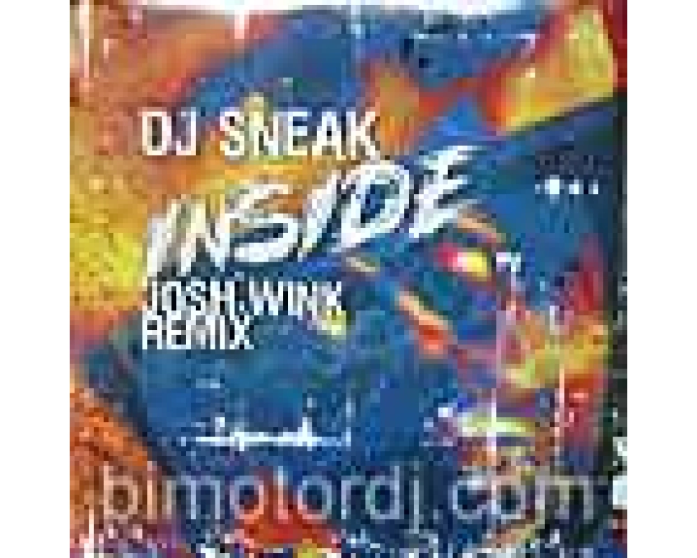dj sneak - inside (josh wink rmx)