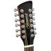 Brunswick Dreadnought Cutaway 12 String Natural