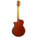 Brunswick Grand Auditorium Electro Mahogany
