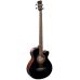 Brunswick Acoustic Bass Black