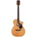 Faith Legacy Earth Electro - 2-Piece Rosewood