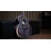 Faith Neptune FX Moondust Grey Electro Cutaway