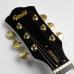 Gould Steelport Walnut