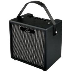 Gould 10w Practice Amplifier