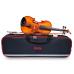 Hidersine Vivente Violin 4/4 Outfit.