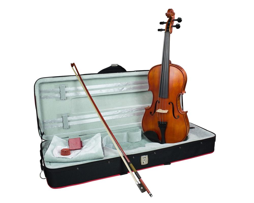 Hidersine Vivente Viola 14inch Outfit