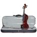 Hidersine Electric Violin Outfit - Zebrawood Finish